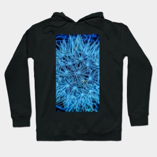 closeup detail onion seed head in blue style Hoodie